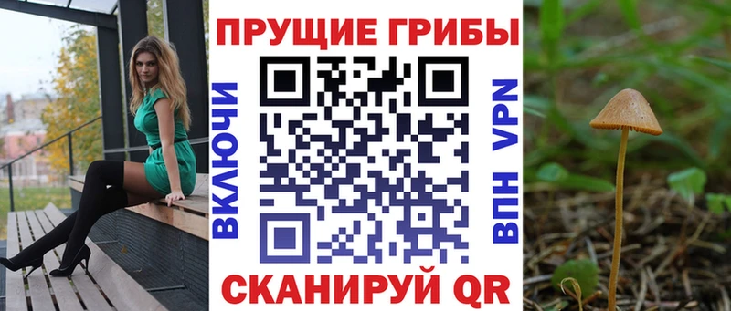 Псилоцибиновые грибы прущие грибы Ярославль